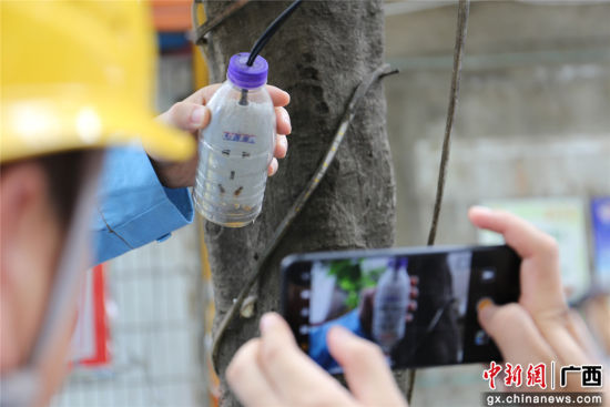 住戶為防止雨天插座漏電而套上的塑料瓶中積水明顯，存在漏電隱患。謝耘 攝